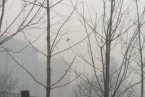北京今天天氣預報 2013年1月10日晚北京有輕霧北部山