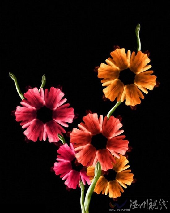 人體藝術(shù)攝影作品欣賞