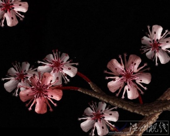 人體藝術(shù)攝影作品欣賞