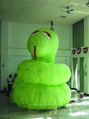 翻白眼青蛇走紅