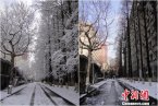 江蘇雪災 2013年2月江蘇省雪災災情統計報告