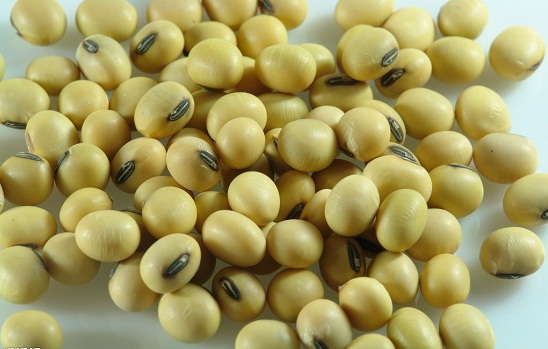 讓女人保持年輕的食物之二：大豆