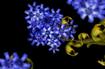 國(guó)外頂級(jí)人體藝術(shù)攝影作