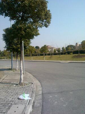 今日上海氣溫最高28℃ 冷空氣來襲最高氣溫跌至11℃