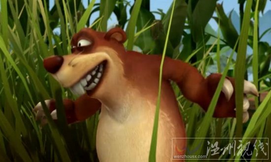 笨熊玉米地保護(hù)戰(zhàn)