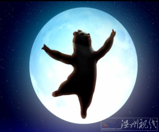 國產動漫熊出沒73集 扭秧歌