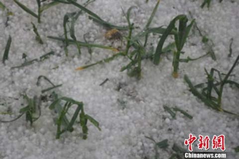 甘肅隴南冰雹 25日隴南冰雹來襲3.9萬人受災(zāi)