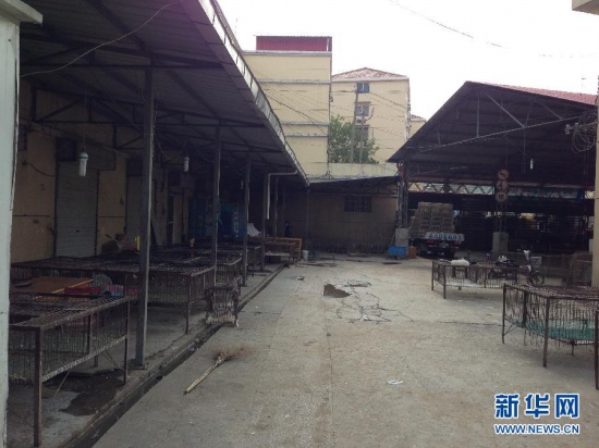 4月6日起南京全市關閉所有活禽交易市場