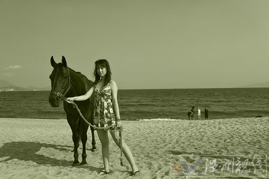 張小雨2010年在深圳玫瑰海岸的一組照片