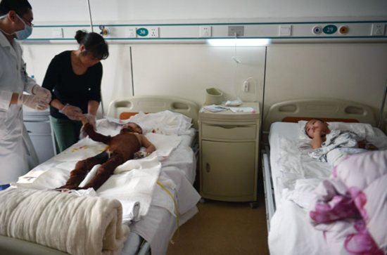 男童模仿灰太狼烤羊,把兩玩伴綁在樹上燒成重傷。