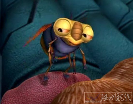 熊出沒2第92集,憤怒的熊大抓知了