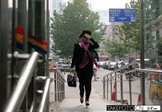 夢鴿工作被叫停