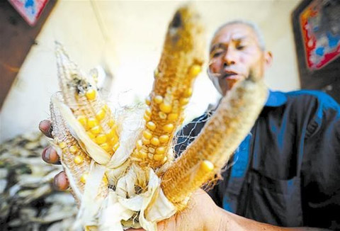 湖北持續(xù)高溫少雨旱情加劇 立秋最高溫達42.2℃