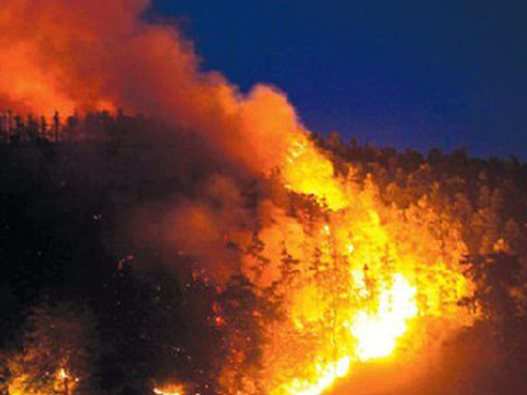湘潭火災 8月8日湘潭昭山易家灣鎮發生森林火災