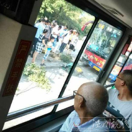 車的前擋風玻璃被撞成蜘蛛網