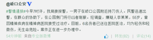 武漢硚口公園持刀傷人事件