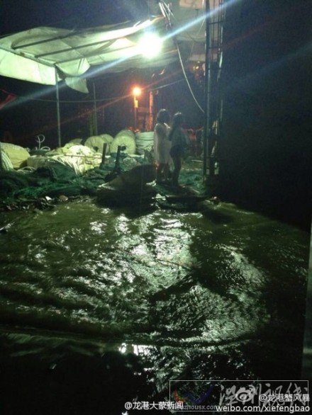 水淹蒼南圖片 臺風來襲溫州蒼南滿大水了