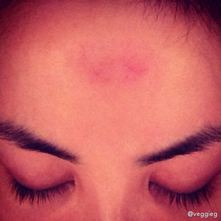 王菲再曬朝圣照