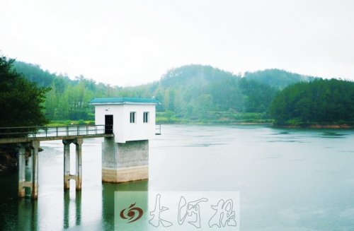 河南新縣一村疑現狼群獵食狗 專家稱或是金錢豹