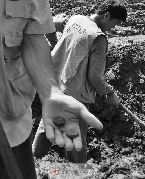 河南村民挖古幣