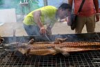 南寧美食節烤鱷魚 烤全羊算什么2013廣西南寧美食節