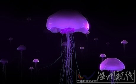 瑞典核電站因水母圍攻關閉