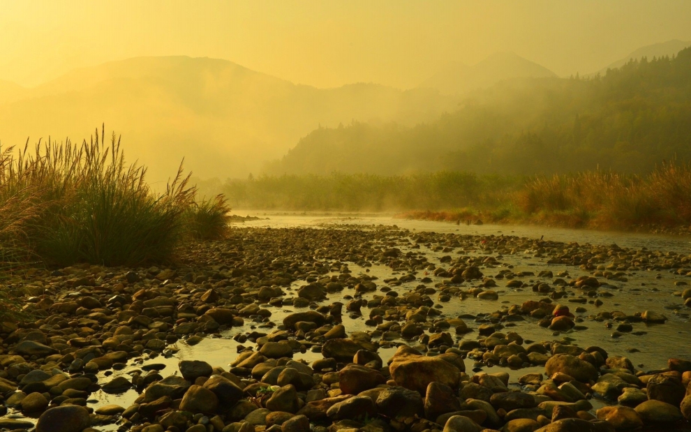 晨霧中的楠溪江灘林