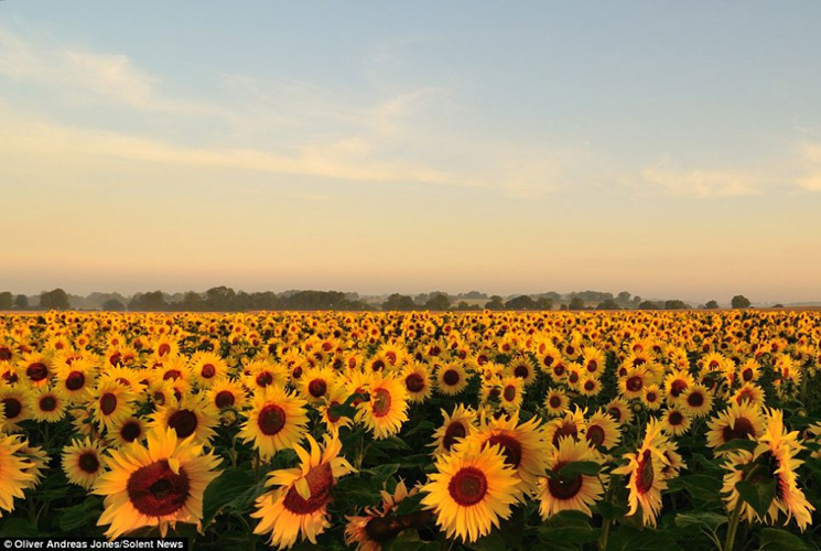 英國6歲攝影師奧利弗拍攝的風景大片