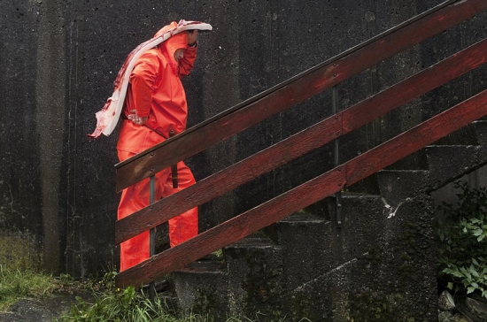 丹麥法羅蘭群島屠鯨節，大批領航鯨遭屠殺。