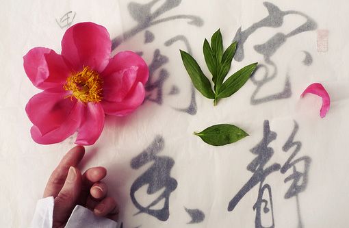 12生肖馬年運勢