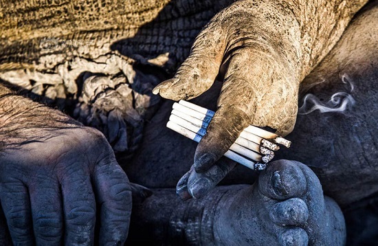 伊朗80歲老人60年不洗澡