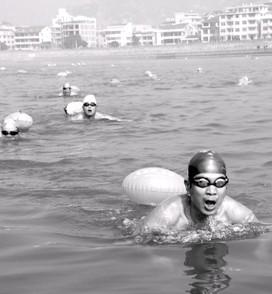 永嘉橋頭菇溪河經(jīng)過五年治理又可以游泳了