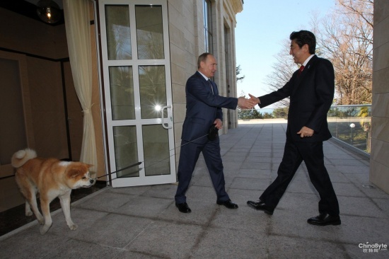 普京牽狗會見安倍