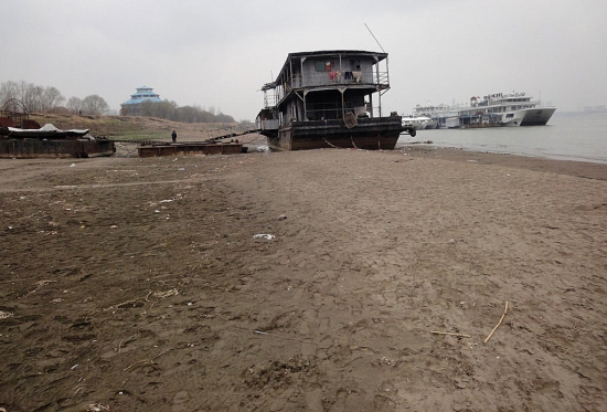 長江河床變沙灘