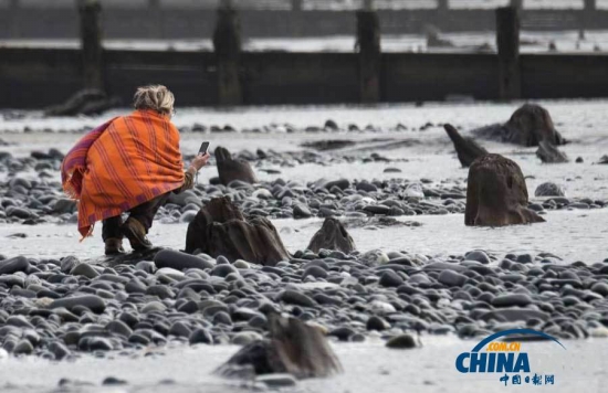 英國遭遇強風(fēng)暴,大風(fēng)出土5000年前的森林遺址。
