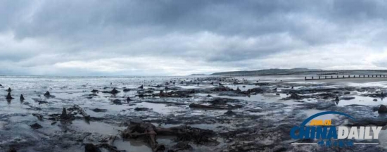 英國遭遇強風(fēng)暴,大風(fēng)出土5000年前的森林遺址。