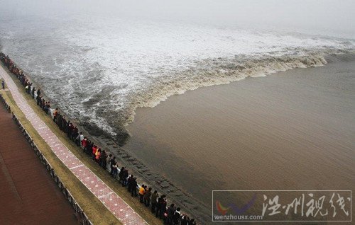 海寧大潮照片