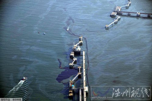韓國原油泄露圖片