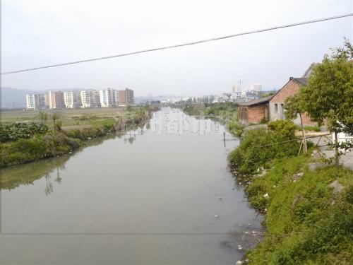 瑞安東河未治理前