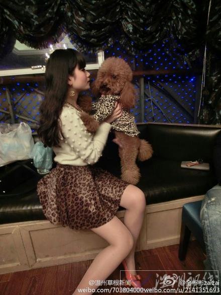 白富美給小狗過生日