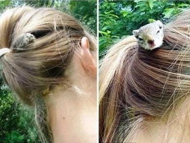 女孩頭發(fā)里住著一只小松鼠