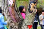 福建農(nóng)林大學(xué)創(chuàng)意樹洞畫 為美麗的校園添色彩