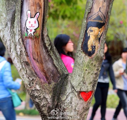福建農林大學創意樹洞畫 為美麗的校園添色彩