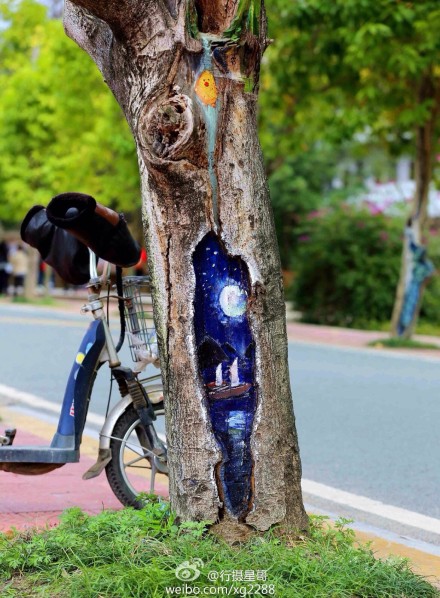 福建農林大學創意樹洞畫 為美麗的校園添色彩