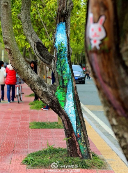 福建農林大學創意樹洞畫 為美麗的校園添色彩