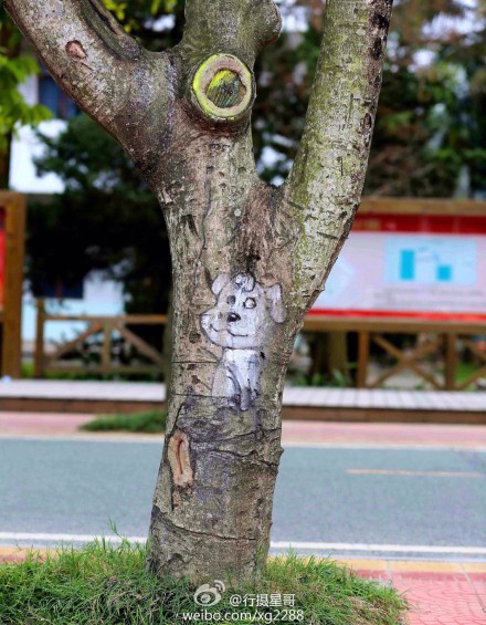 福建農林大學創意樹洞畫 為美麗的校園添色彩