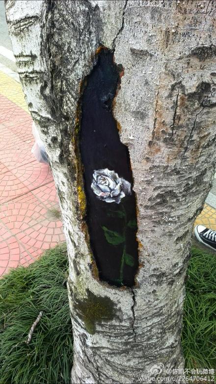 福建農(nóng)林大學(xué)創(chuàng)意樹(shù)洞畫 為美麗的校園添色彩