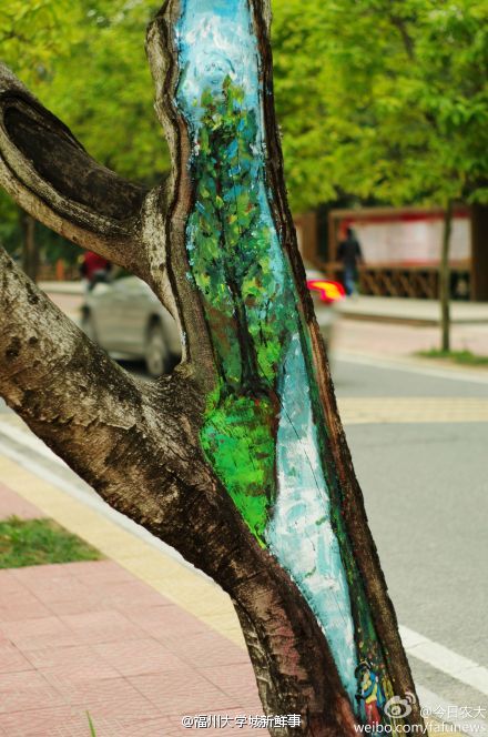 福建農(nóng)林大學(xué)創(chuàng)意樹(shù)洞畫 為美麗的校園添色彩