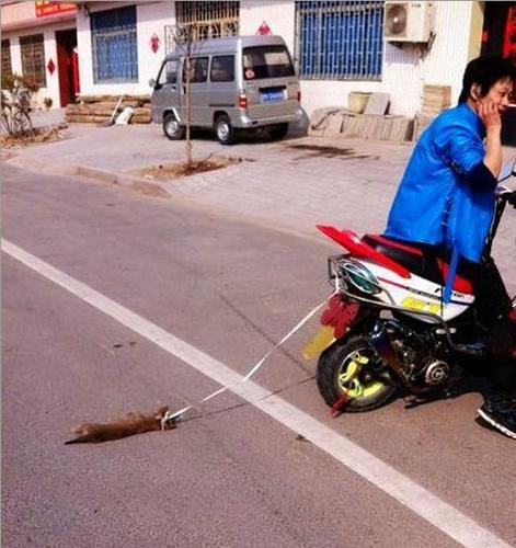 山東男子虐狗男子照片