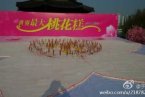 2014泰州鳳城河風桃花節 3月30日世界最大桃花糕誕生